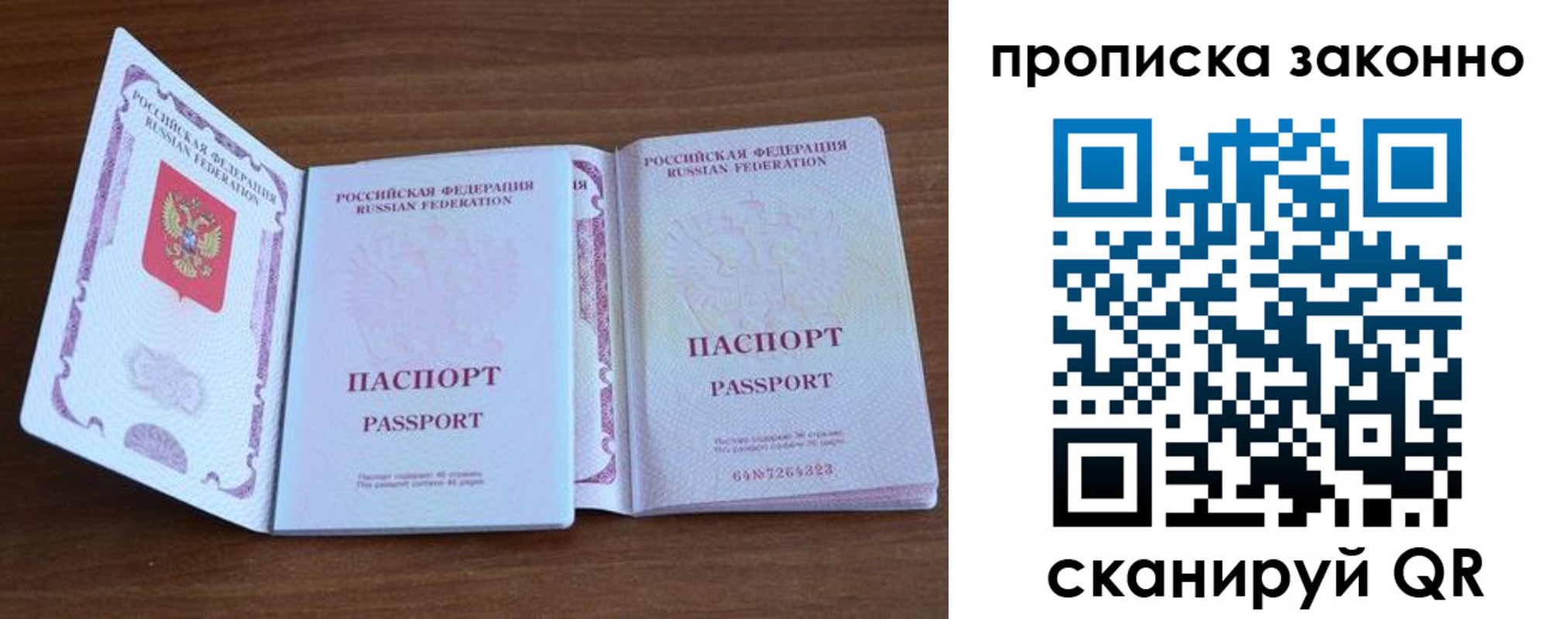 прописка поиск в Саратове
